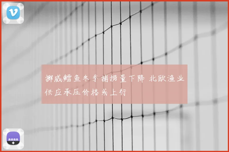 挪威鳕鱼冬季捕捞量下降 北欧渔业供应承压价格或上行